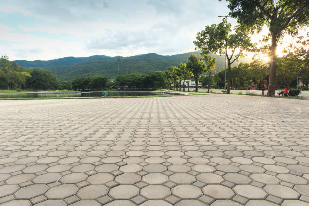 Best Commercial Driveway Pavers  in Tonopah, NV
